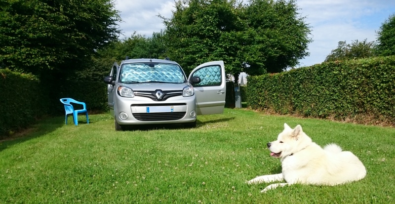 Un Kangoo pour mes deux chiens (et moi) Dsc_2910