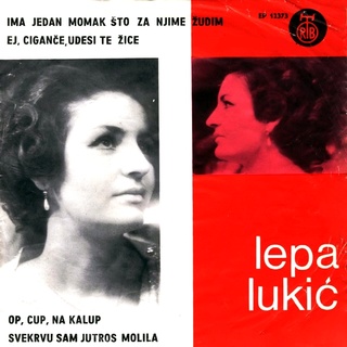 Lepa Lukic - Diskografija R-207910