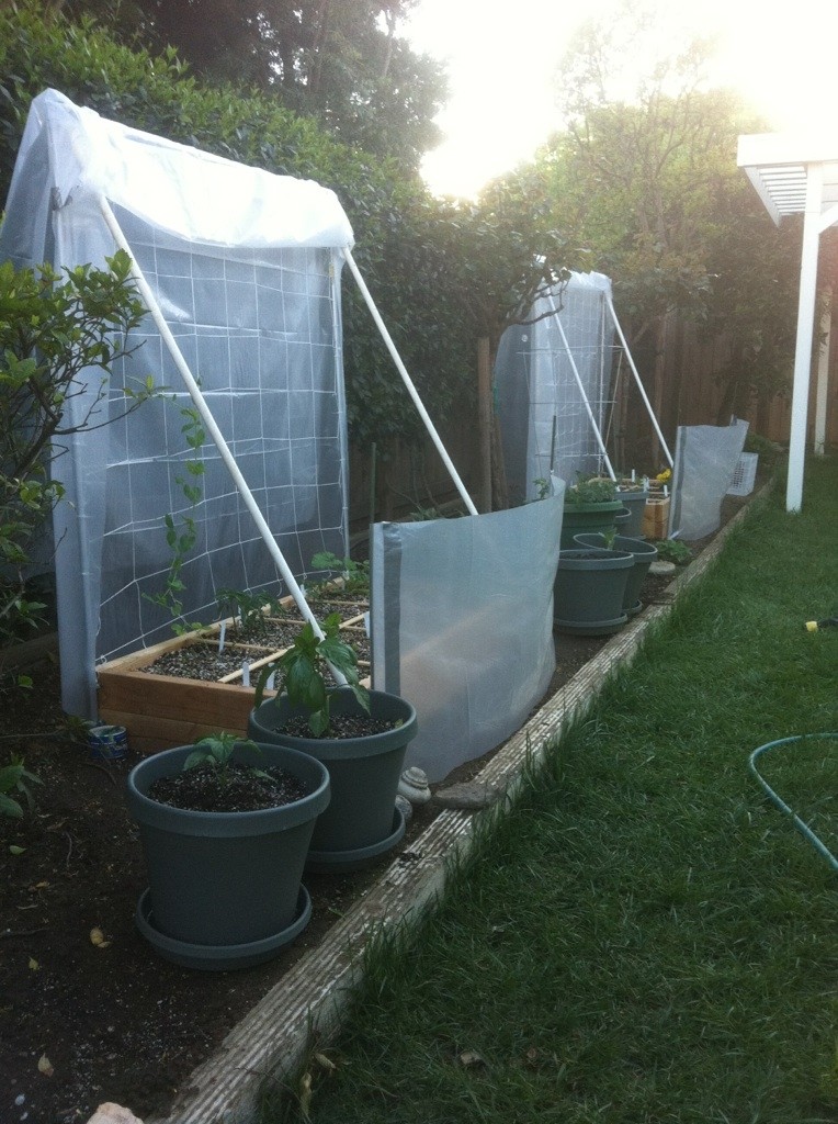 Monthly Avatar Theme August 2013: Your Garden in August. Part 2 4-01-110