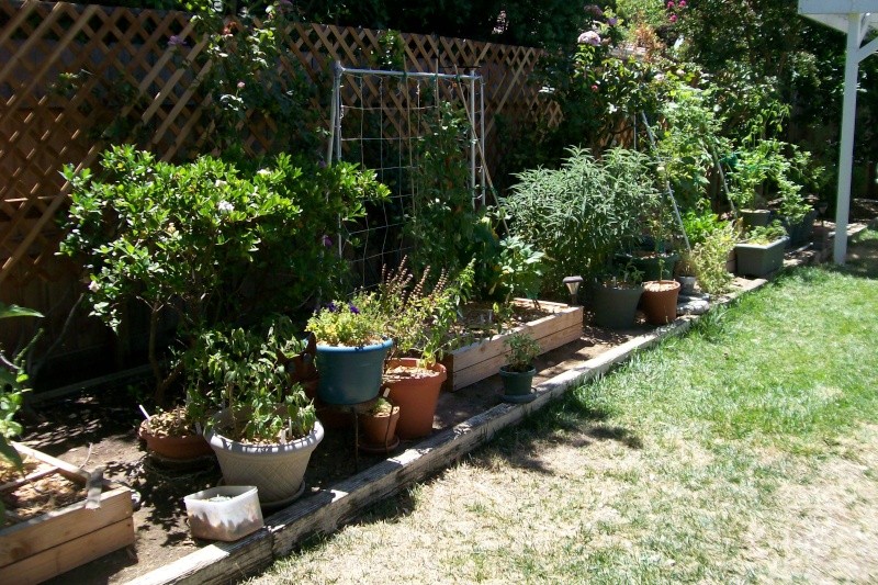 Monthly Avatar Theme August 2013: Your Garden in August. Part 2 8-3-1310