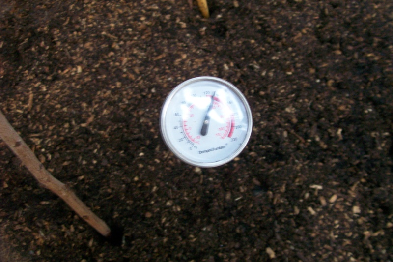 thermometer - Thermometer Compos10