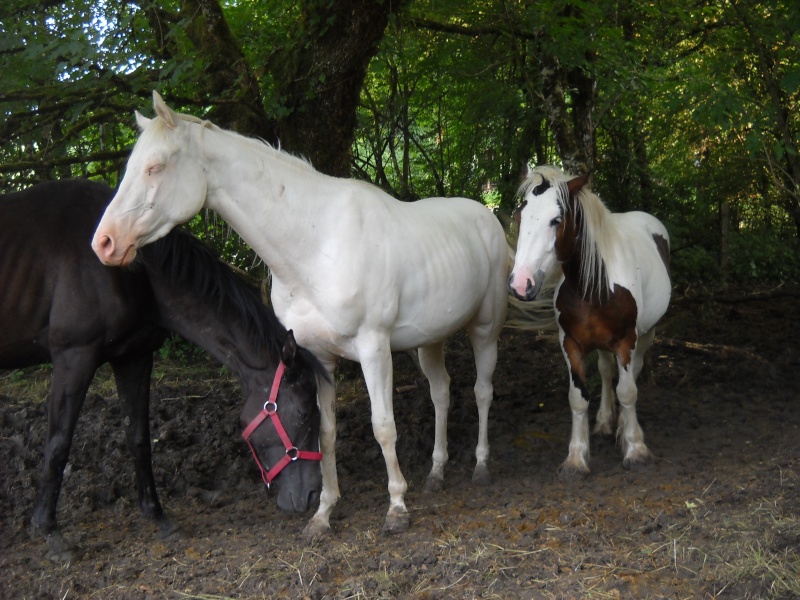 Mes grandes jambettes^^ Dscn9710