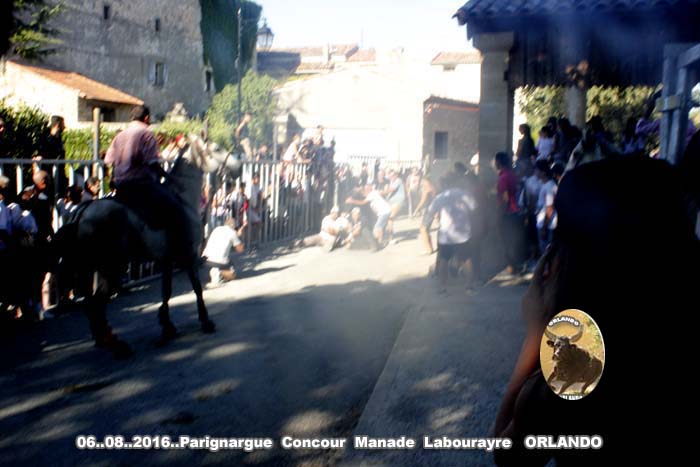 06..08..2016 Parignargue Concoue & Enciero _mg_0057
