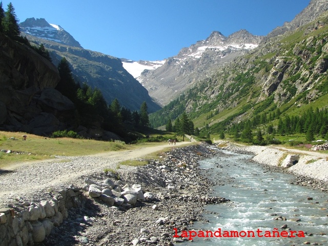 20100802 - ALPES ITALIANOS - GRAN PARADISO (4.061 m.) 00610