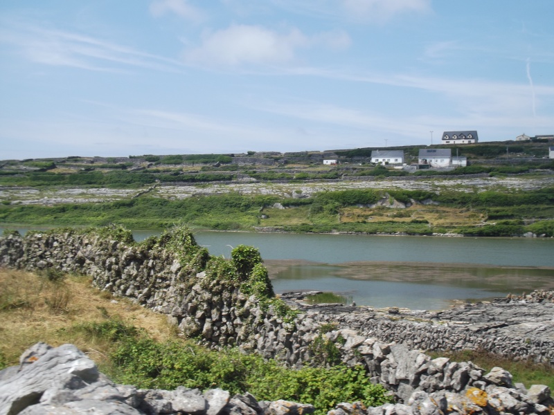 Cliffs of Moher and Inisheer Island ( one of the Aran islands) Dscf1717