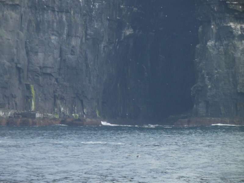 Cliffs of Moher and Inisheer Island ( one of the Aran islands) Dscf1810