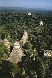 les rescapés de Mu Tikal10