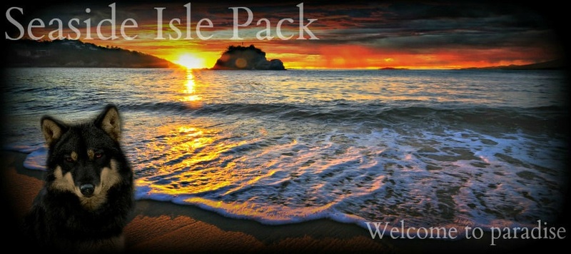 Seaside Isle Pack 010