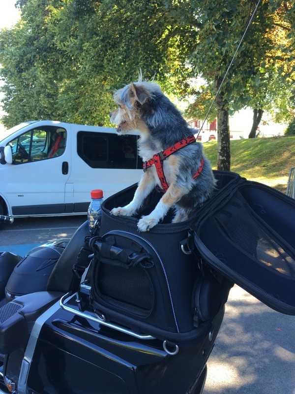 Retour d’un petit trip moto pour les vacances Img_1310
