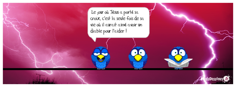 Quelques Birds ? Mister12