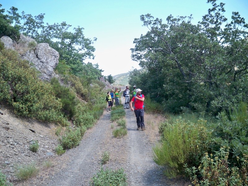 Montañismo: sábado 30 de julio 2016 - Cresta del Dragón y Pico Atalaya (Ayllón) 024_en10