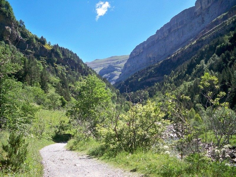 Alpinismo: 14-16 de julio 2016 - Ascensión al Monte Pérdido (Pirineo Oscense) 155_en10