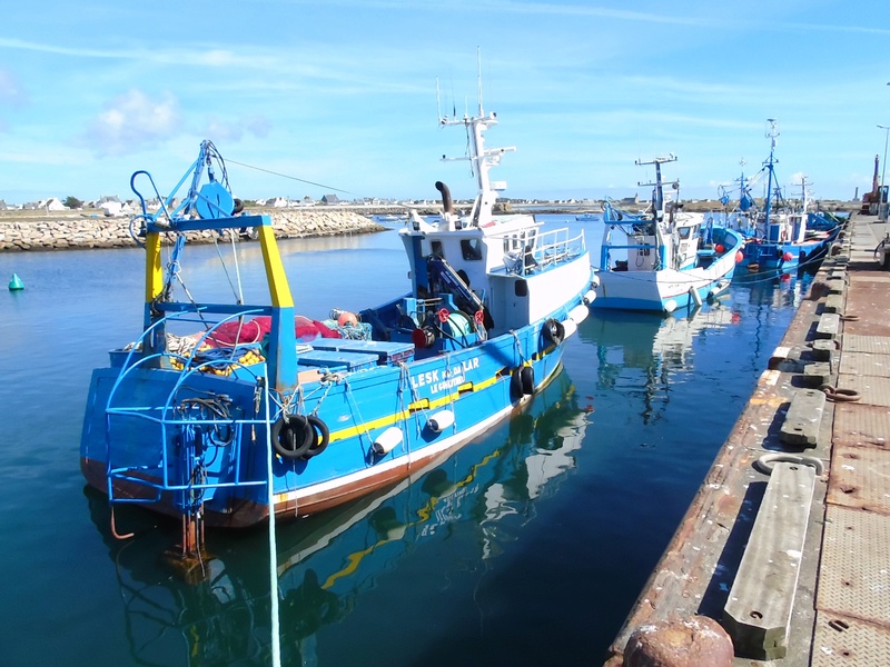 [VIE DES PORTS] Quelques bateaux de pêche (sur nos côtes Françaises) - Page 25 Dsc06210