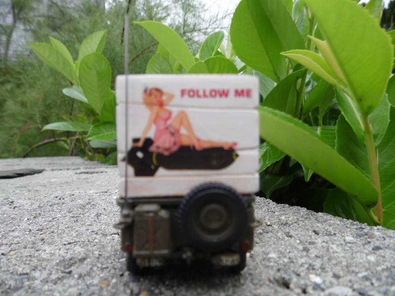 [VITRINE PROJET AA] 1ere jeep " follow me " 1/48 Sam_1020
