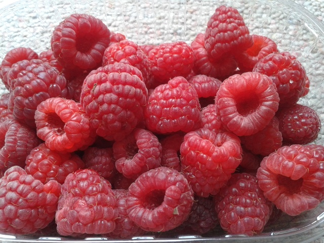 La récolte des fruits 20160715