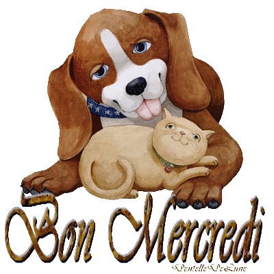 cairns de Juillet 2016 - Page 6 Chien_10