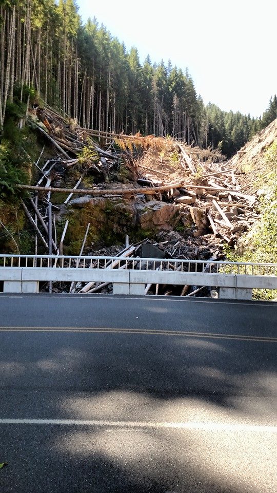 Mt St Helens run Mtsthe49