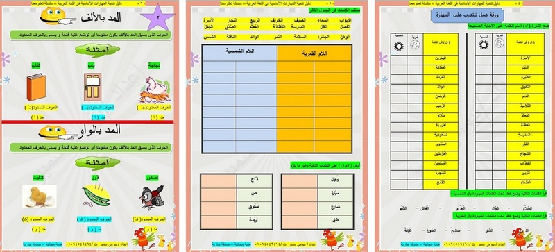 دليل تنمية المهارات الاساسية فى اللغة العربية 2017 21011