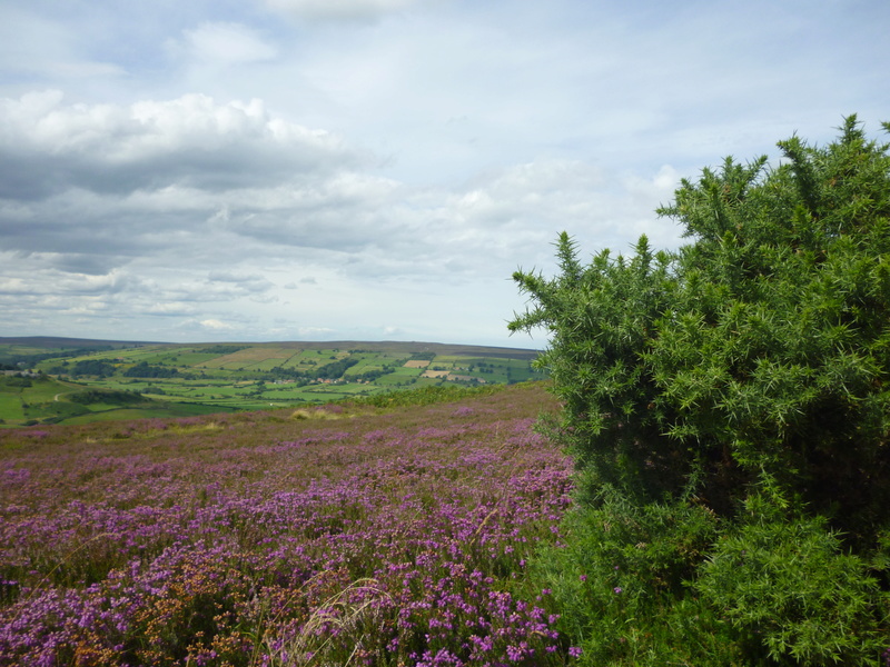 Voyage dans le Yorkshire à la recherche de la magie anglaise 360_yo10