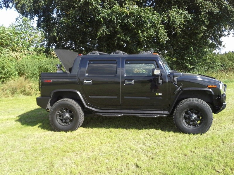 Photos de votre Hummer & animal de compagnie - Page 2 20160822