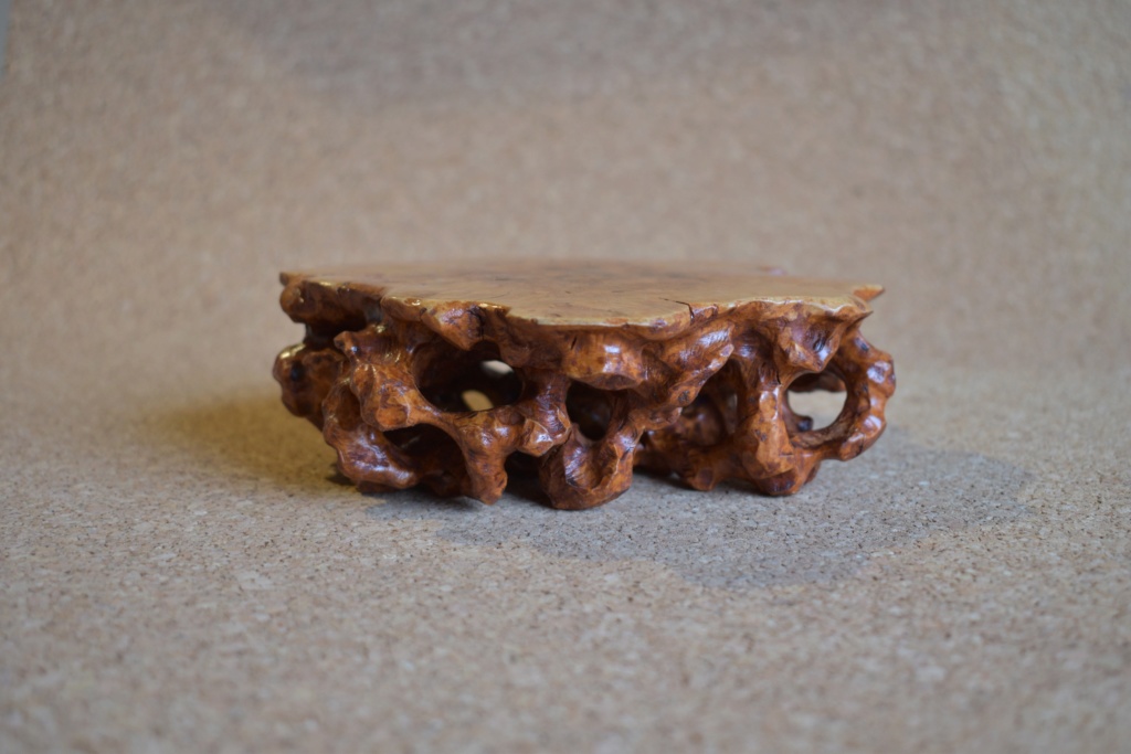 Root stand_Birch burl 004-ib10