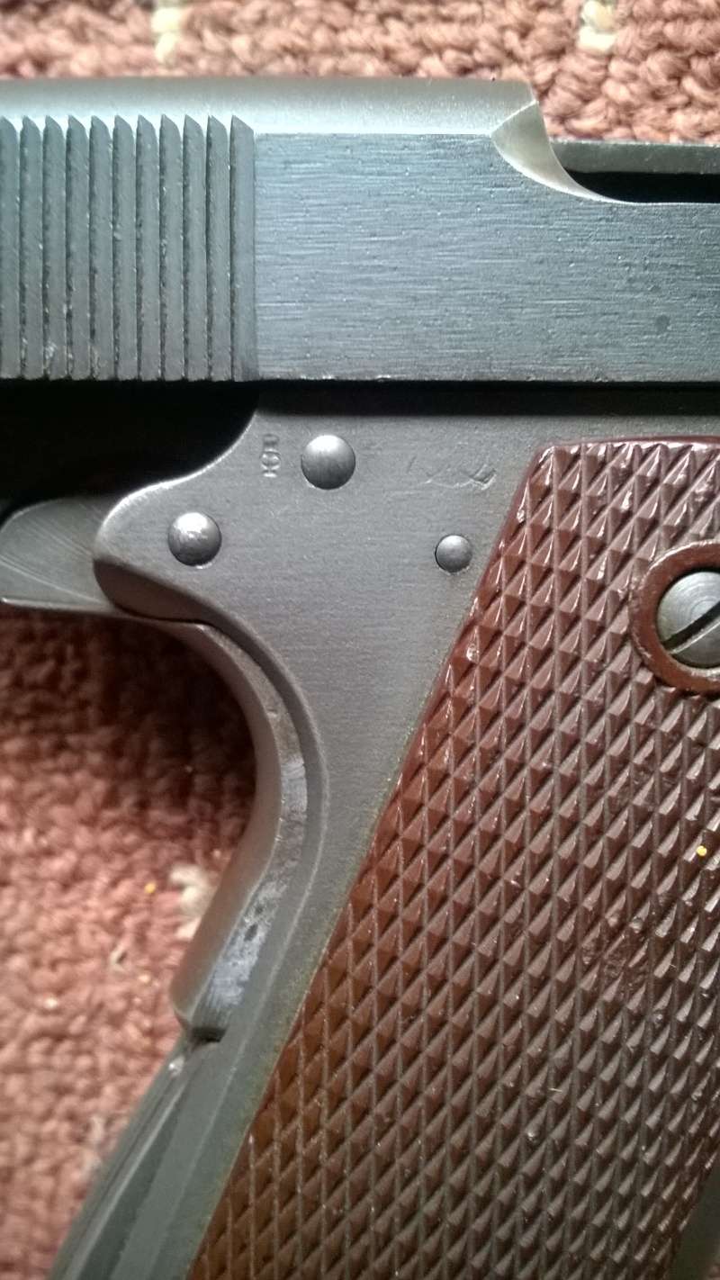 .45 Remington  Wp_20113