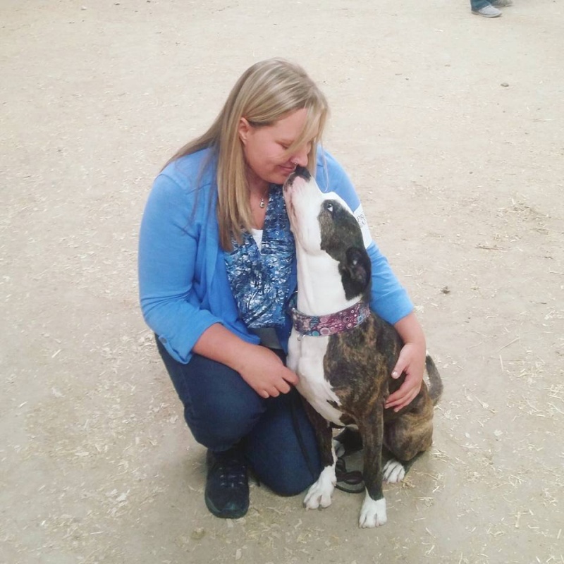 Blackfoot dog show 2016 13419011