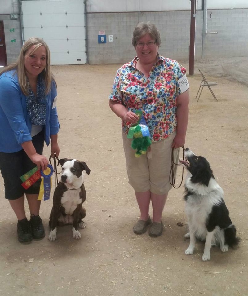 Blackfoot dog show 2016 13423711