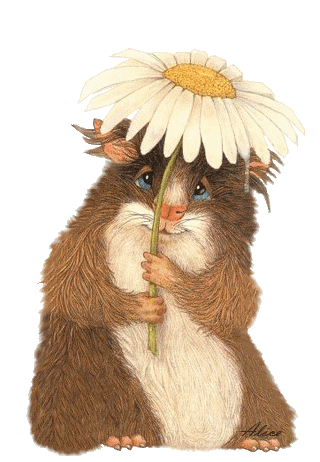 Bonsoir tout le monde 6bc60510