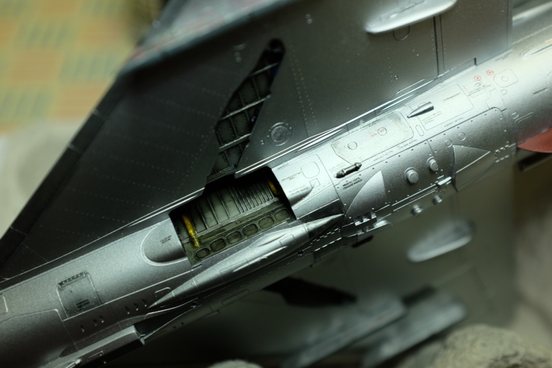 MIG-21 (eduard 1/48) Tfpw8913