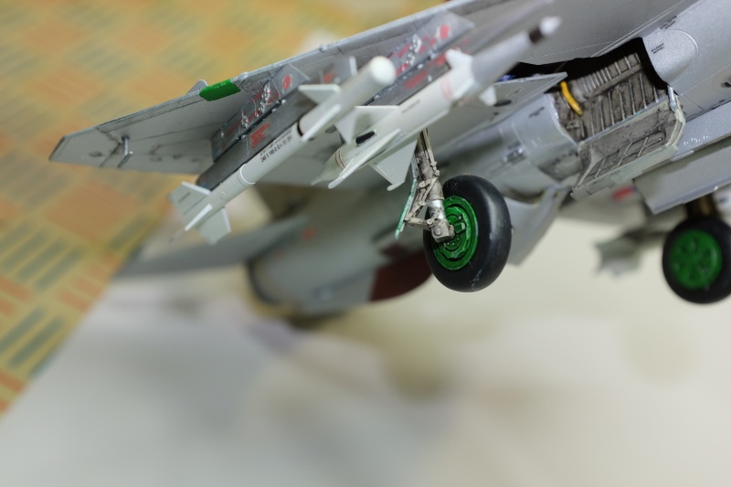 MIG-21 (eduard 1/48) Tfpw8918