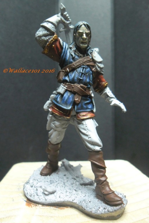 Geralt de Riv "The Witcher" Andréa Miniatures 54mm (acryliques)  FINI! - Page 2 Sam_0327
