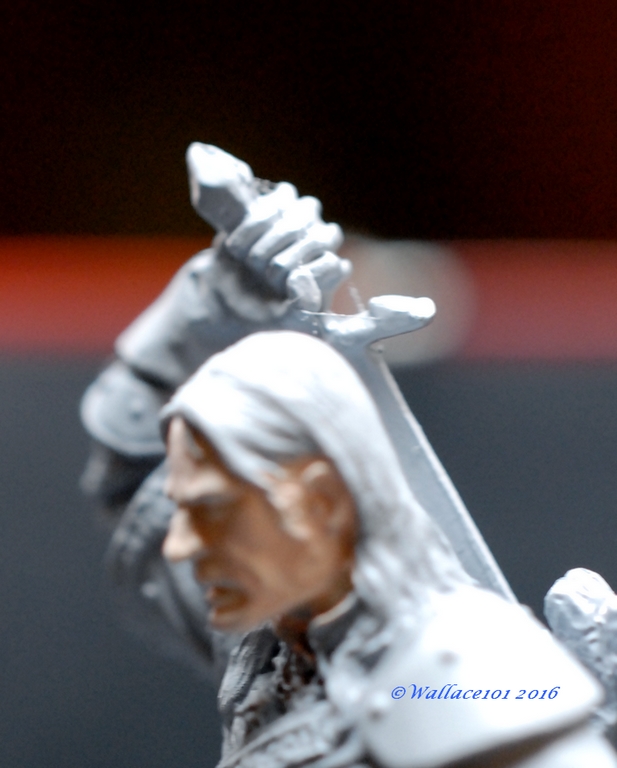 Geralt de Riv "The Witcher" Andréa Miniatures 54mm (acryliques)  FINI! Skin0011