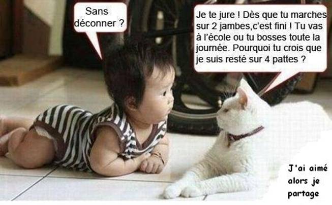 Humour 2016 Att00010