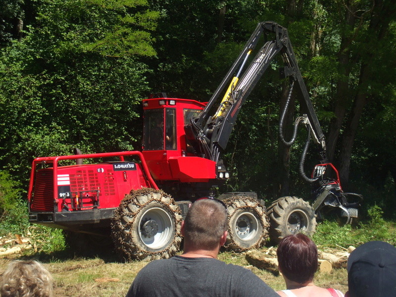 39700 La Breteniere tracteurs anciens et matériel forestier 17 juillet 2016 Dscf8914