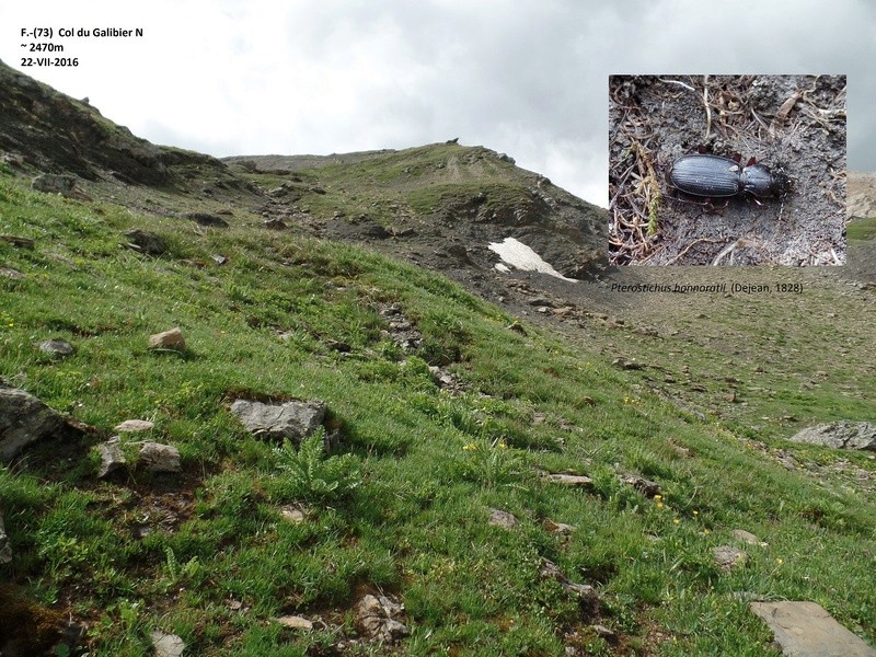 Le col du Galibier et ses environs. Col_du31