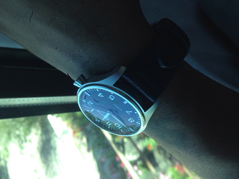 frederique constant - Le club des heureux possesseurs d'ALPINA - tome III - Page 30 Image24