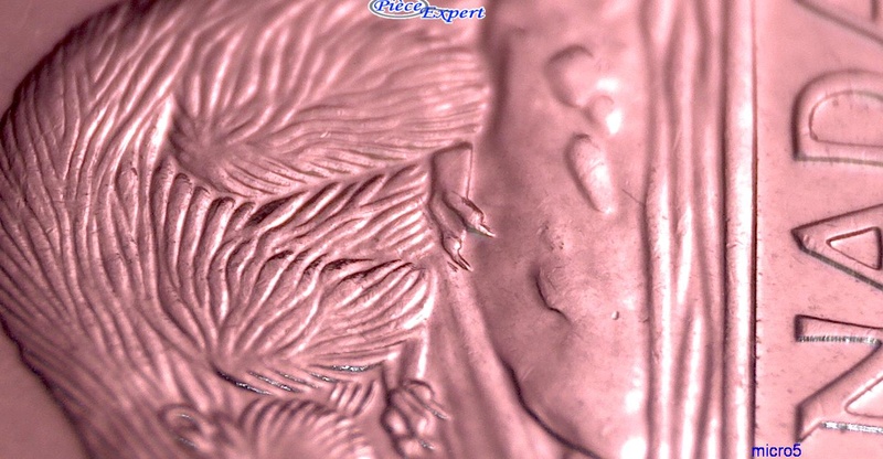 2012 - Dommage au Coin sur Bûche Cpe_i148