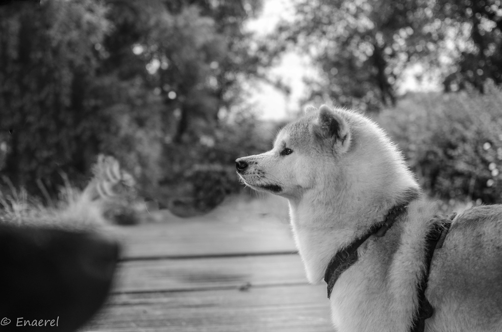 Seika-chan & Nature - Page 8 Dsc_0234