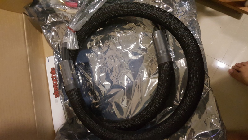 Shunyata Research Etron Anaconda Speaker Cable (Sold) 20160621