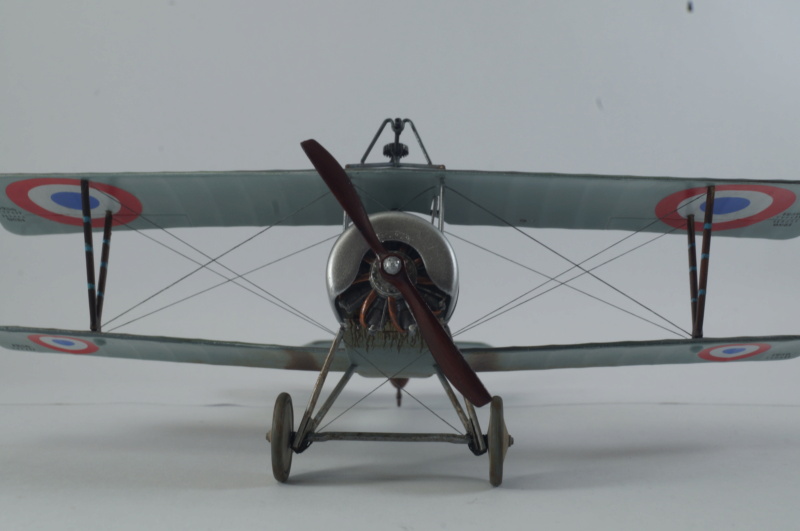 [Eduard] Nieuport 11  1/48  (ni11) Dsc05415