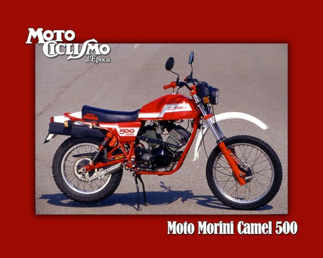 MOTO MORINI Camelw10