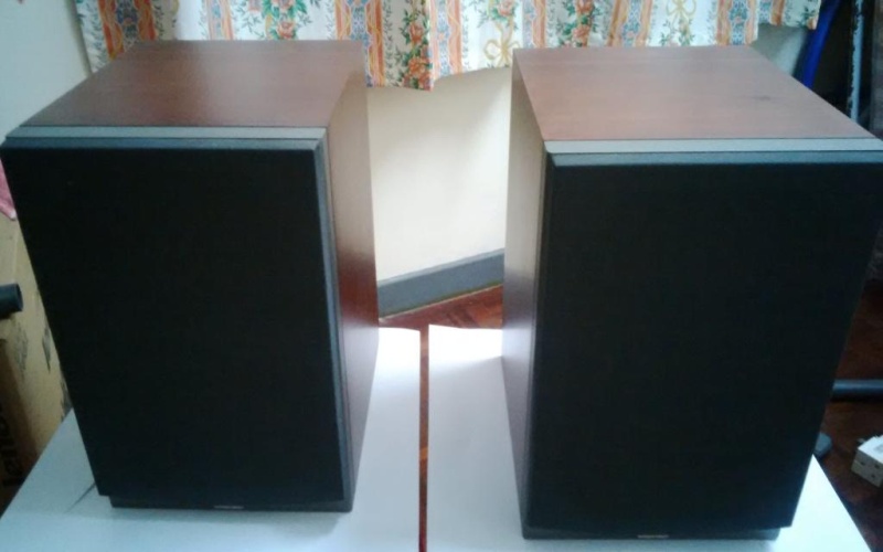 Used Dynaudio 52 (Sold) Img_2010