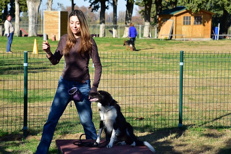 Photos de vous et vos chiens en pleine activité (course, vtt,ring, ..) Dsc_0410