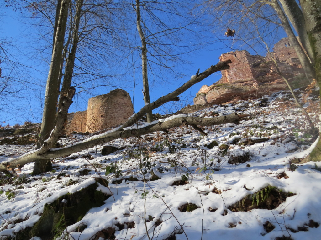 Petite promenade hivernale au Schoeneck, 13 février 2021. Img10181
