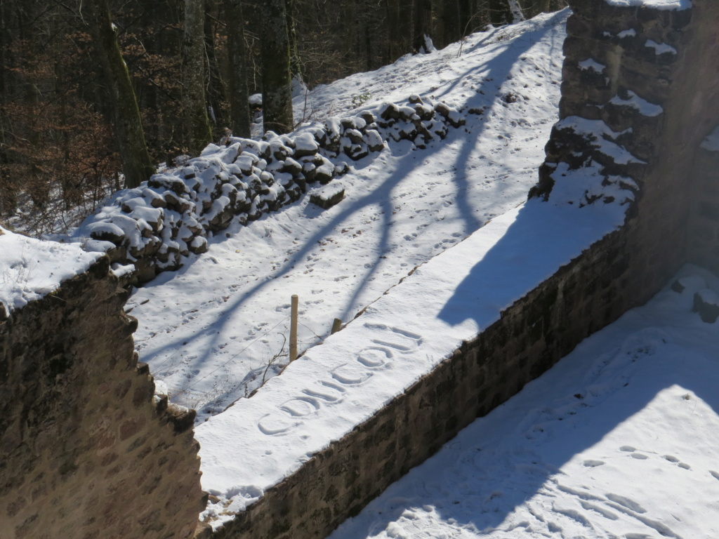 Petite promenade hivernale au Schoeneck, 13 février 2021. Img10183