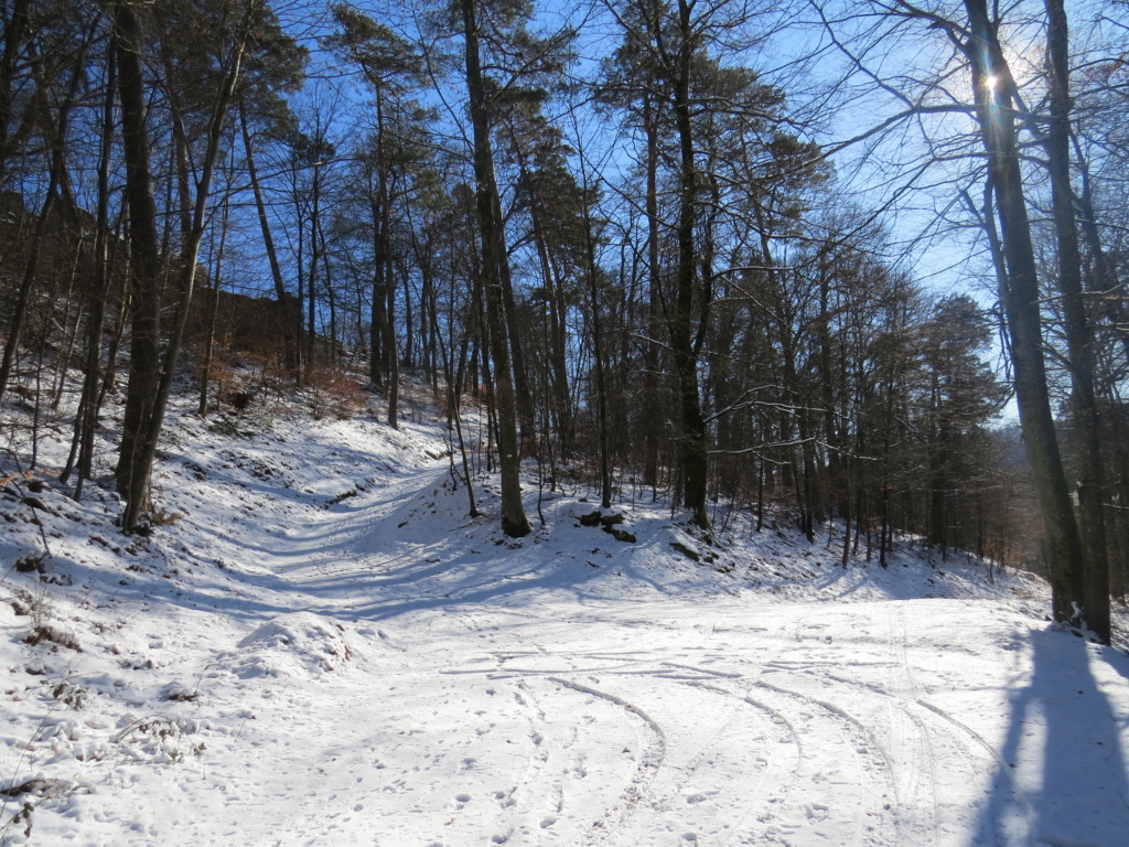 Petite promenade hivernale au Schoeneck, 13 février 2021. Img10194