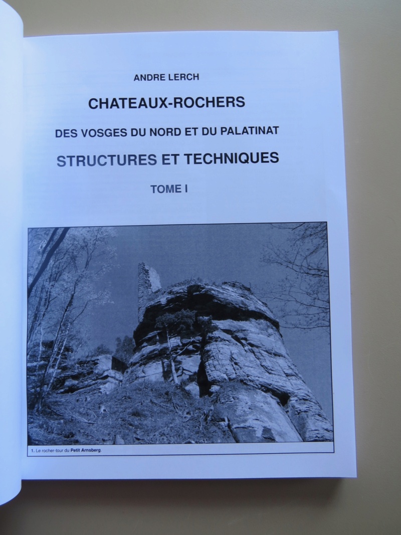 < CHATEAUX-ROCHERS DES VOSGES DU NORD ET DU PALATINAT > Img10990