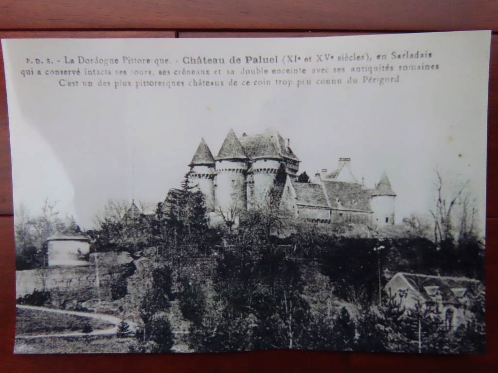 Châteaux en Périgord près de Carlux. Img13202