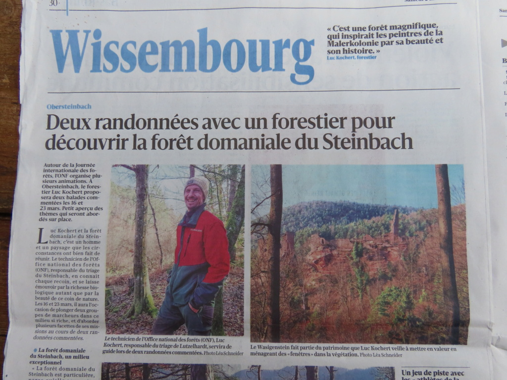 Vosges du Nord , DNA , 2 mars 2024. Img22330